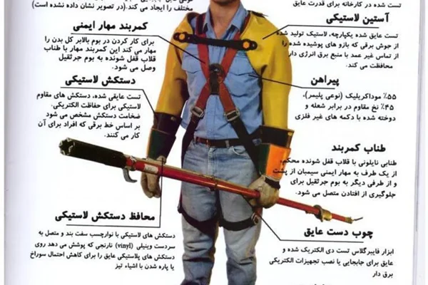 ایمنی